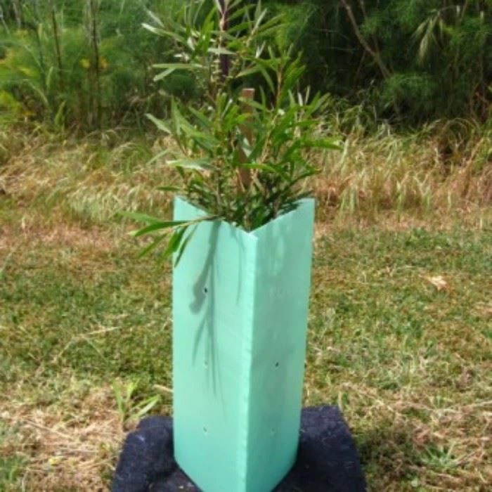 Sapling Protectors