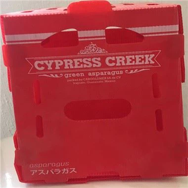 ঢেউতোলা প্লাস্টিকের ফলের বাক্স