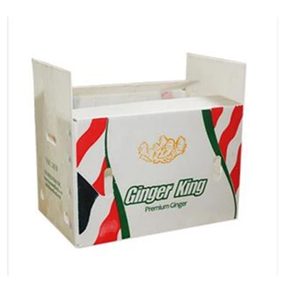 ভাঁজযোগ্য ঢেউতোলা প্লাস্টিকের বিন