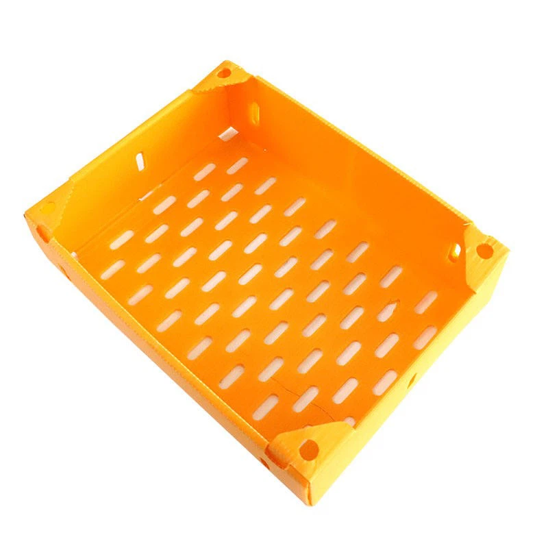 Foldable PP Corrugated Plastic Tray